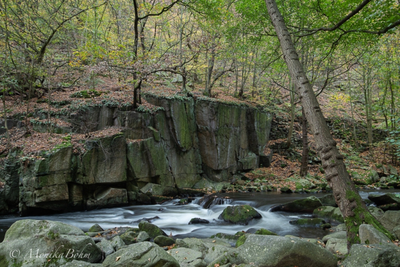 Flusslandschaft