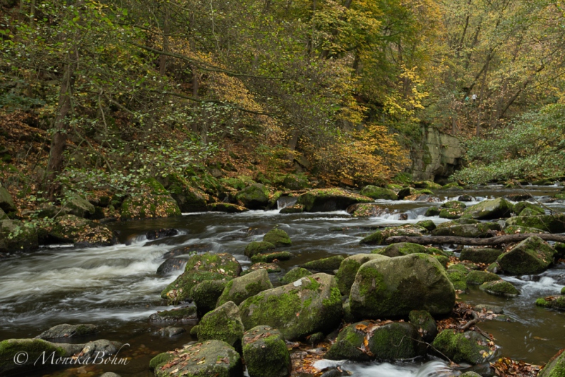prächtiger Wildbach