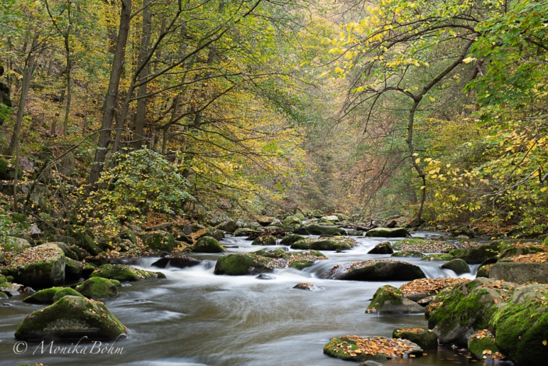 Herbststimmung am Bach