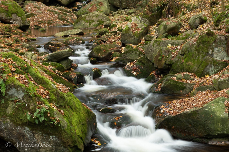 wildromantischer Bach