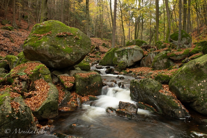 Wildbach