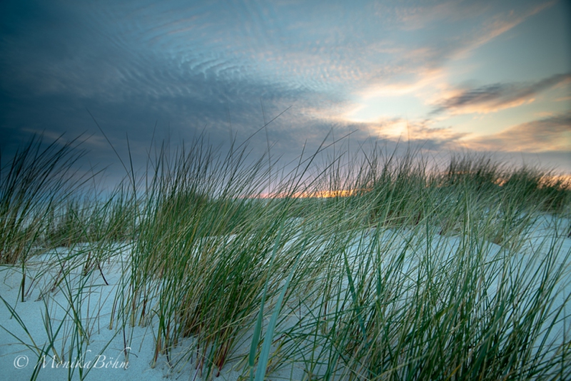 nordisches Licht